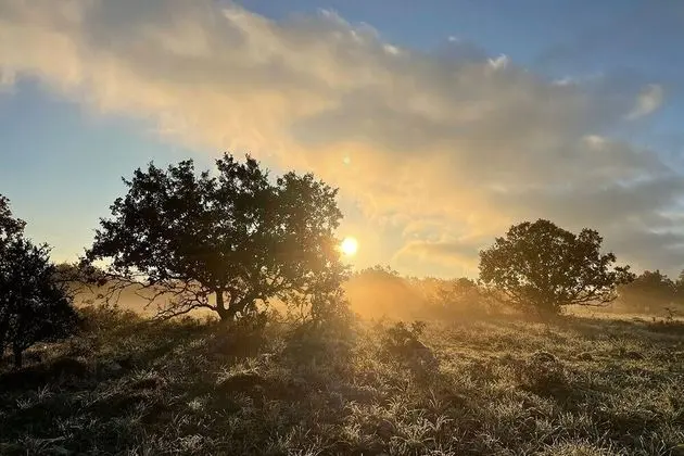 Family Stüdyo Süit