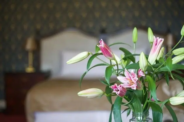 Exclusive Tek Büyük Yataklı Oda (Main House)