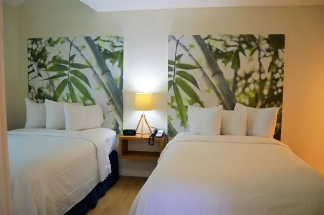 Two Bedroom Penthouse Double