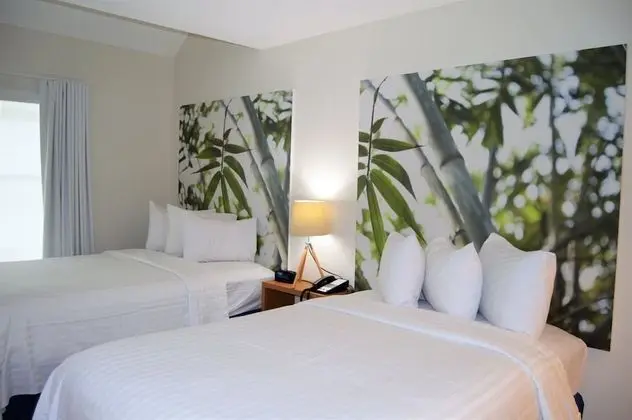 Two Bedroom Penthouse Double