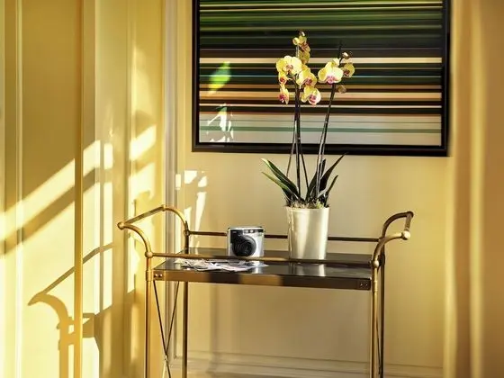 Süit (Belgravia Terrace)
