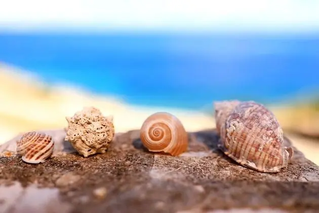 Ev (Doria - perfect location & peaceful -)