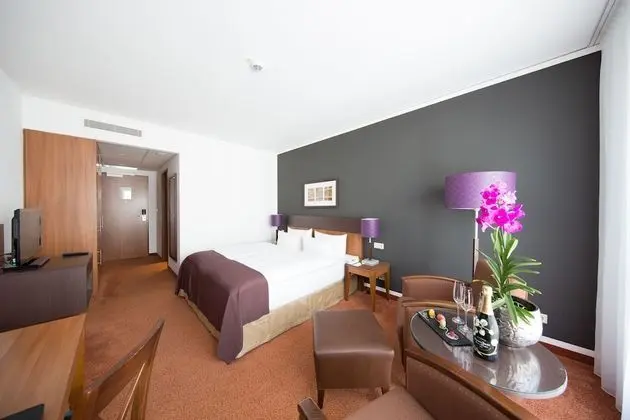 Standard Tek Büyük Yataklı Oda (zur Hotel-Lobby hin)