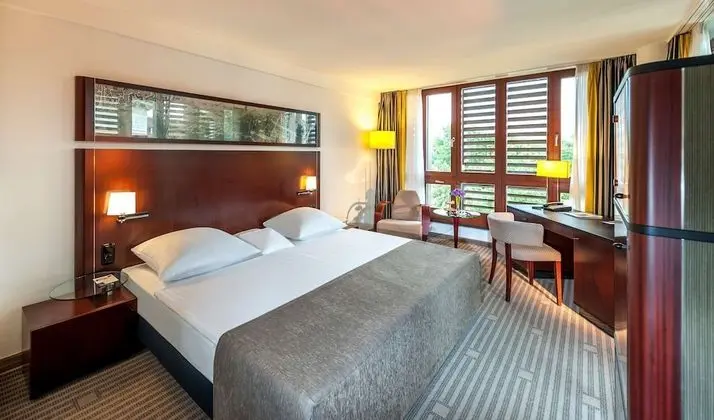 Comfort Tek Büyük Yataklı Oda, Park Manzaralı