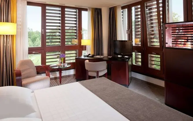 Comfort Tek Büyük Yataklı Oda, Park Manzaralı