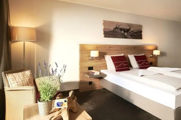 Standard Tek Büyük Yataklı Oda, Balkon