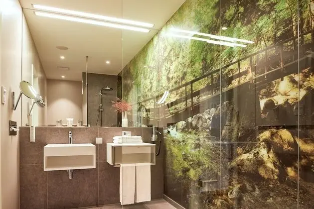Deluxe Tek Büyük Yataklı Oda, Balkon, Park Manzaralı