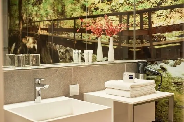Deluxe Tek Büyük Yataklı Oda, Balkon, Park Manzaralı