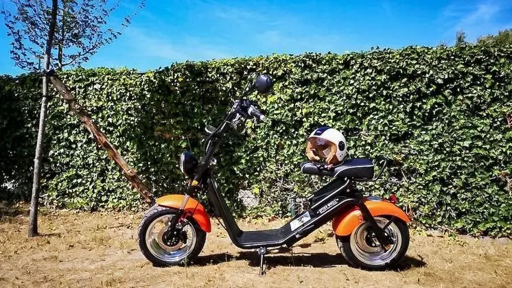 Luxury Ev, 3 Yatak Odası (Cosanne)