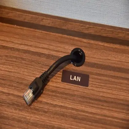 İki Ayrı Yataklı Oda, Sigara İçilmez (4N,No cleaning)
