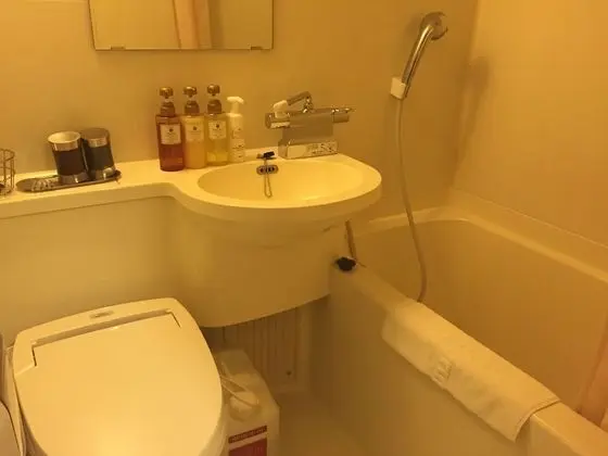 Tek Büyük Yataklı Oda (Without Housekeeping)
