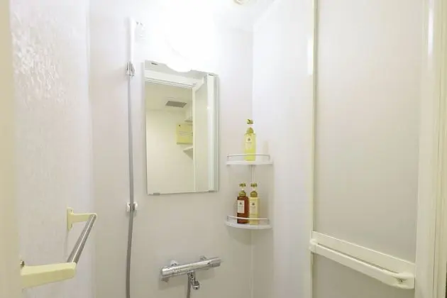 Tek Büyük Yataklı Oda, Sigara İçilmez (Moderate - 15sqm, Single Use)
