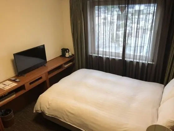 Tek Büyük Yataklı Oda, 1 Çift Kişilik Yatak, Sigara İçilebilir (Without Housekeeping)