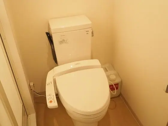 Tek Büyük Yataklı Oda, Sigara İçilebilir (No Cleaning, Private Bathroom)