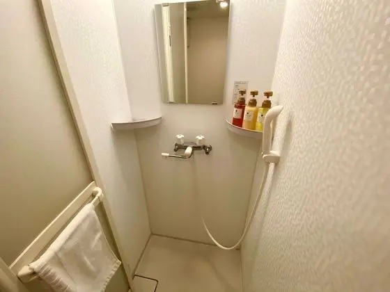 Tek Büyük Yataklı Oda, Sigara İçilebilir (No Cleaning, Private Bathroom)