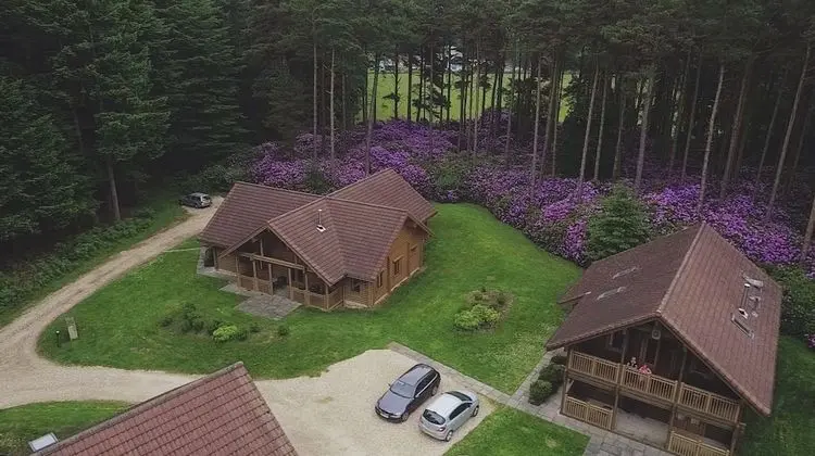 Signature Dağ Evi, 3 Yatak Odası, Engellilere Uygun, Sauna