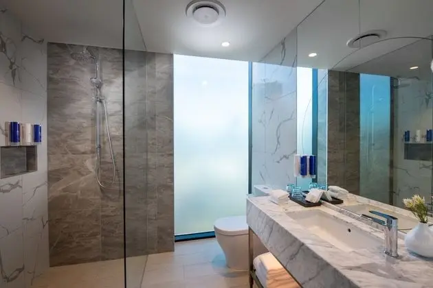 Deluxe Oda, 1 En Büyük (King) Boy Yatak, Balkon, Şehir Manzaralı