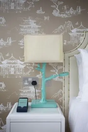 Deluxe Oda, 1 En Büyük (King) Boy Yatak