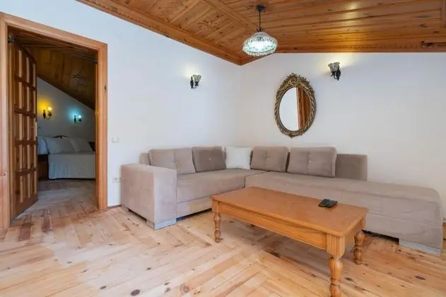 Executive Suite, Bahçe Manzaralı, Balkonlu