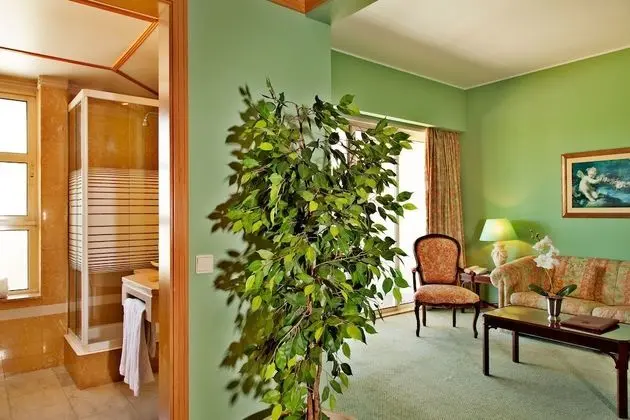 Süit, Balkon (Duplex)