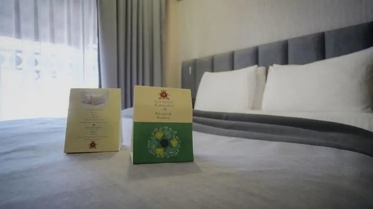 Standard Tek Büyük Yataklı Oda, 1 Yatak Odası