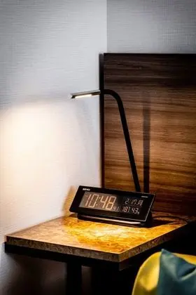 Tek Büyük Yataklı Oda (No Housekeeping Service)