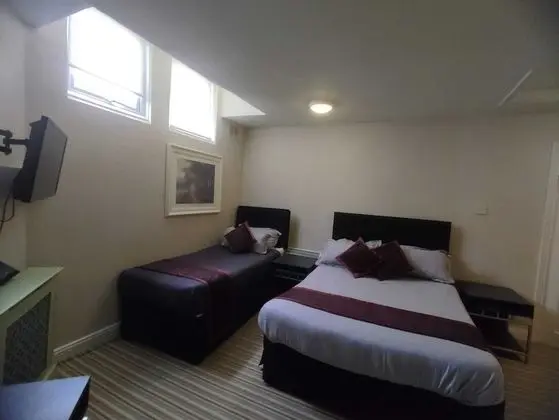 Deluxe Tek Büyük Yataklı Oda (Room 3)