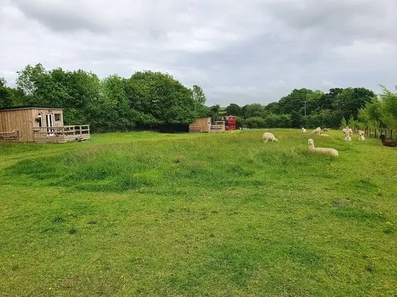 Family Kulübe, Özel Banyo (Double Decker Bus)