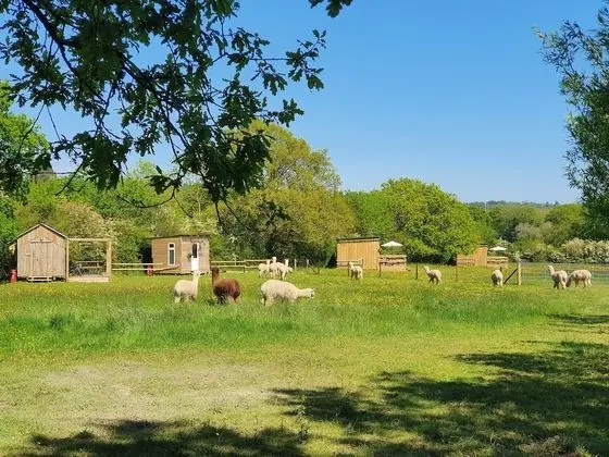 Family Kulübe, Özel Banyo (Double Decker Bus)