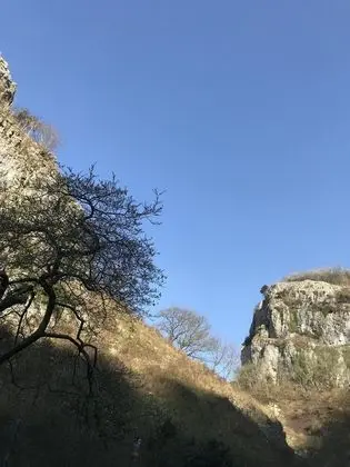 Comfort Üç Kişilik Oda, Engellilere Uygun (Riverside)