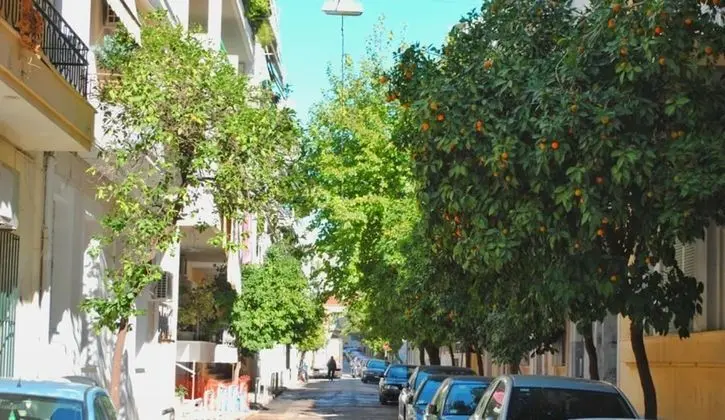 Ortak Ranzalı Oda, 1 Yatak Odası, Buzdolabı