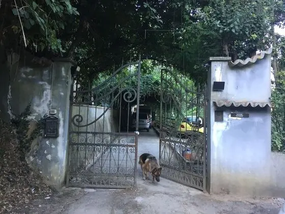 Oda, 1 Yatak Odası, Balkon