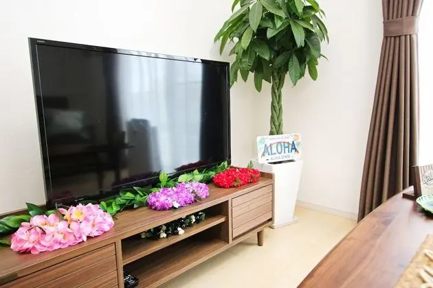 Ev (Private Vacation Home)
