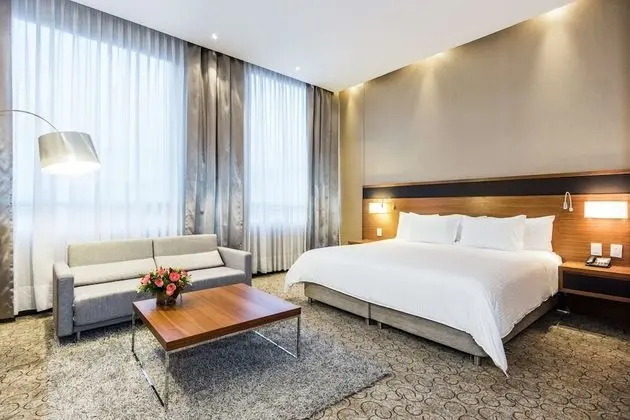 Executive Oda, 1 En Büyük (King) Boy Yatak, Business Dinlenme Salonu Kullanımı