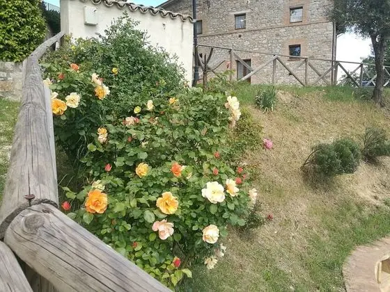 Oda, 1 Yatak Odası, Teras