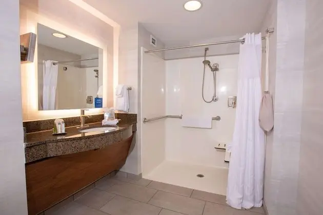 Oda, 1 En Büyük (King) Boy Yatak, Engellilere Uygun, Sigara İçilmez (Roll-In Shower)