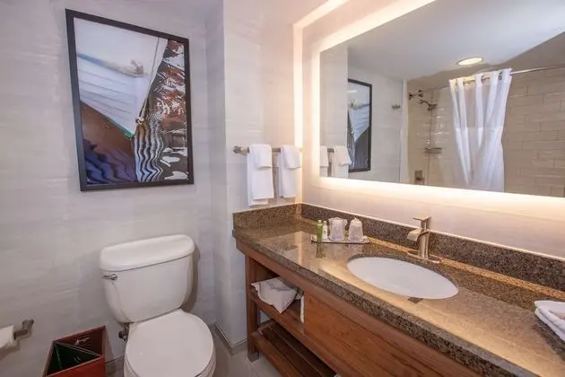 Oda, 1 En Büyük (King) Boy Yatak, Sigara İçilmez, Şehir Manzaralı