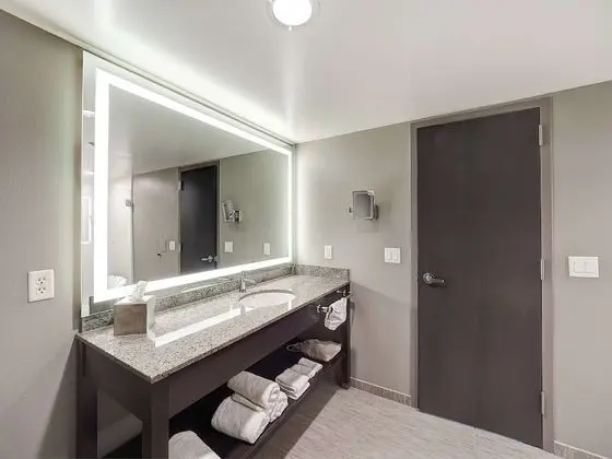 Standard Oda, 1 En Büyük (King) Boy Yatak, Engellilere Uygun (Roll-in Shower)