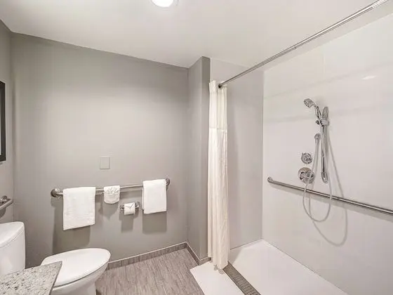 Standard Oda, 1 En Büyük (King) Boy Yatak, Engellilere Uygun (Roll-in Shower)