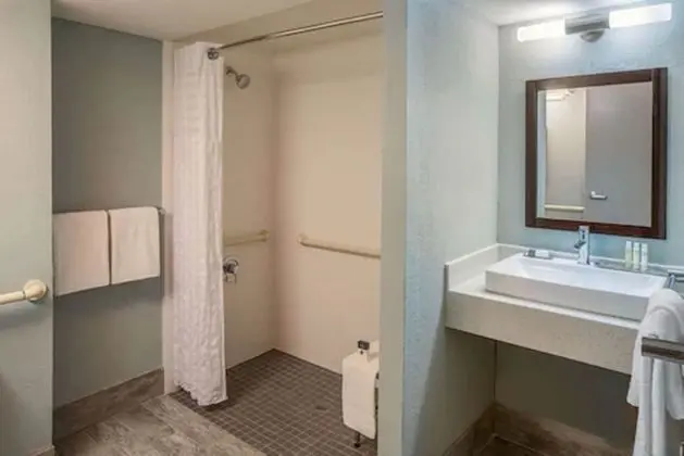 Oda, 1 En Büyük (King) Boy Yatak, Engellilere Uygun, Sigara İçilmez (Roll-in Shower)