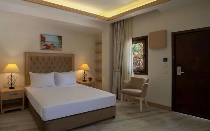 King Accessible Room