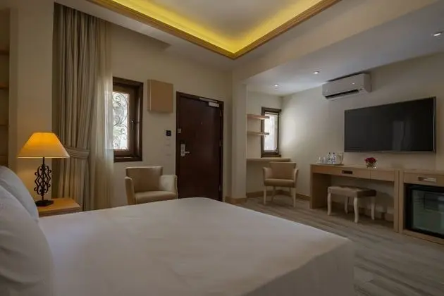 King Accessible Room