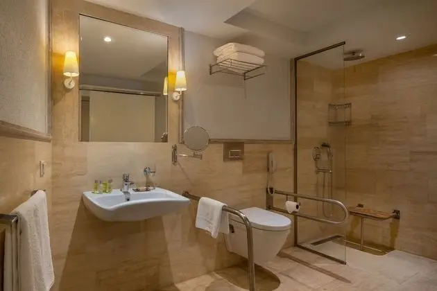 King Accessible Room