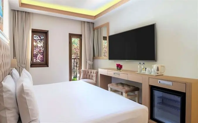 Queen Guest Room