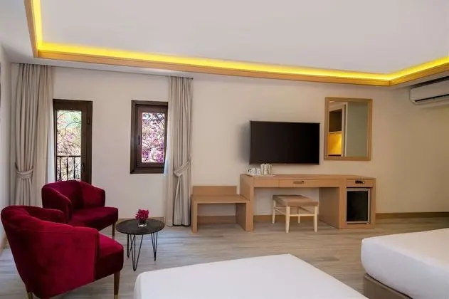 Queen Superior Room