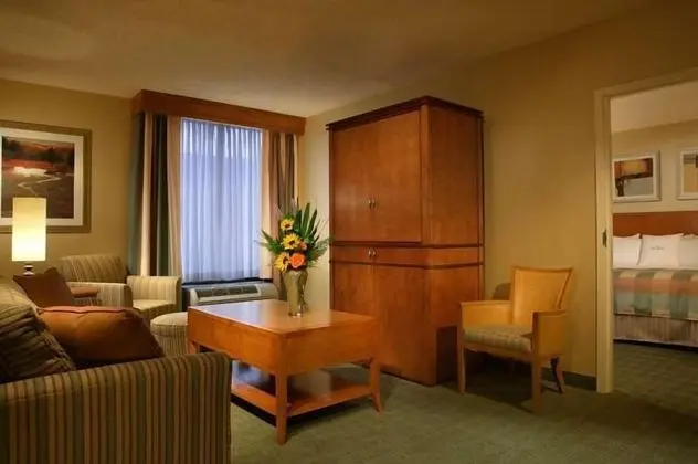 Süit, 1 En Büyük (King) Boy Yatak ve Çekyat, Sigara İçilmez (2 Room Suite)