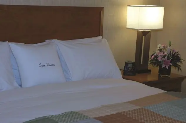 Süit, 1 En Büyük (King) Boy Yatak ve Çekyat, Sigara İçilmez (2 Room Suite)