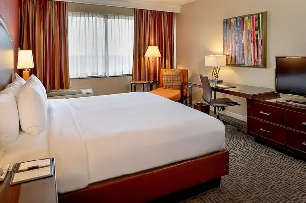 Deluxe Oda, 1 En Büyük (King) Boy Yatak