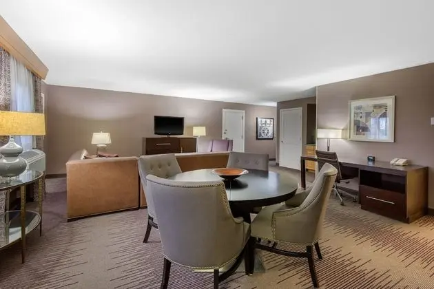 Executive Oda, Sigara İçilmez, Business Dinlenme Salonu Kullanımı (Concierge Level)