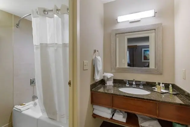 Executive Oda, Sigara İçilmez, Business Dinlenme Salonu Kullanımı (Concierge Level)